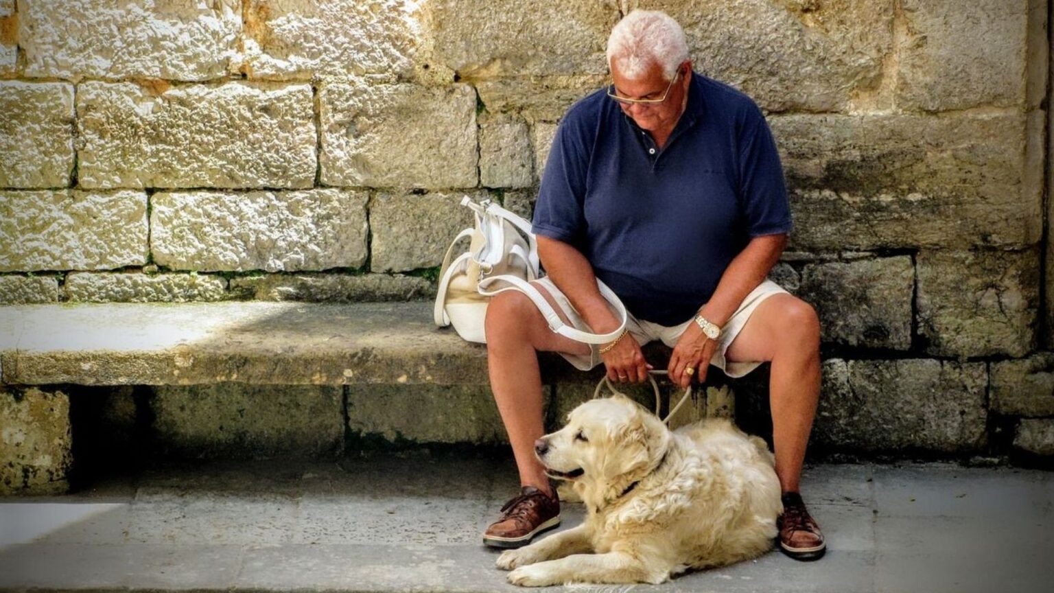 Calculateur d'âge d'un chien en âge humain